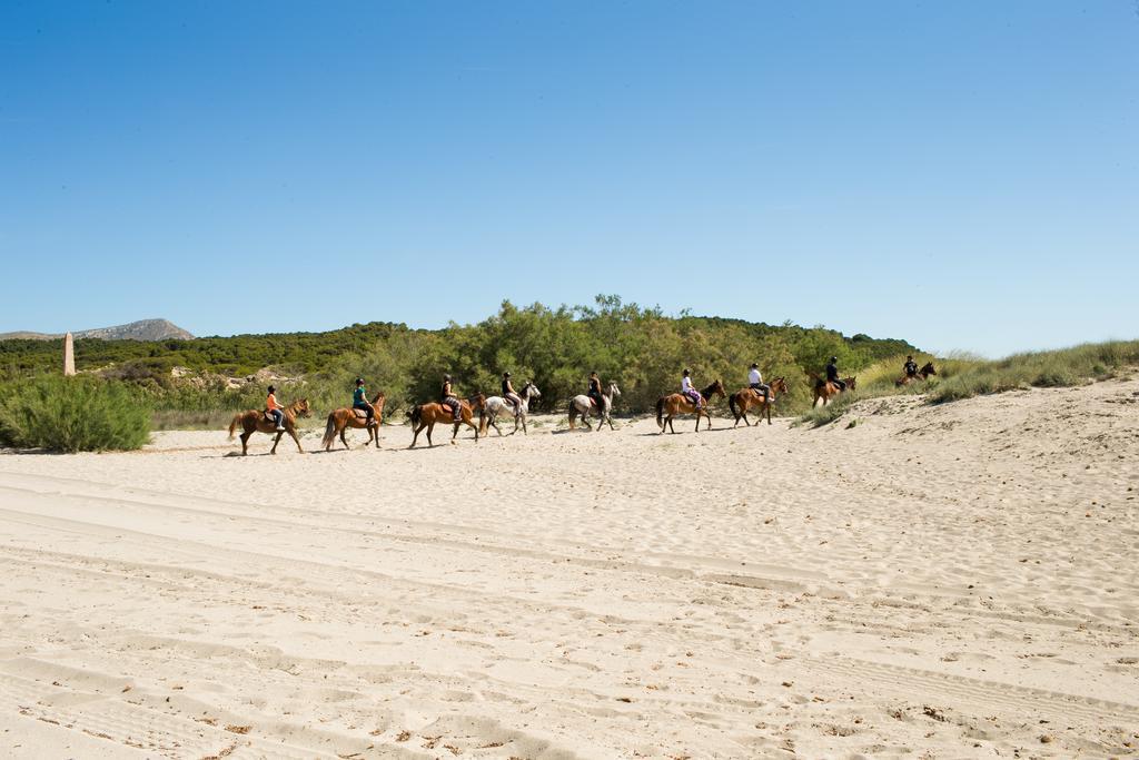 Agroturismo Can Pere Rei Сон-Серра-де-Маріна Екстер'єр фото